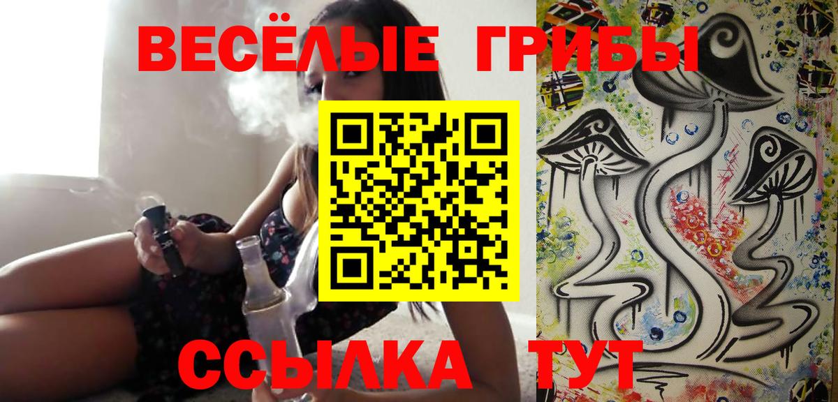 Сунжа  Галлюциногенные грибы Psilocybine cubensis  Галлюциногенные грибы мицелий  Вход с VPN 