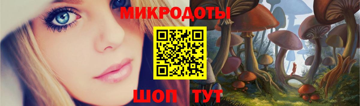 Псилоцибиновые грибы Psilocybe Сунжа
